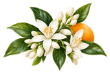 Neroli Blossom Lip Balm